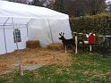 Nikolaus2014_20